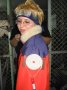 reANIMation 4 – cosplay - IMG_4462