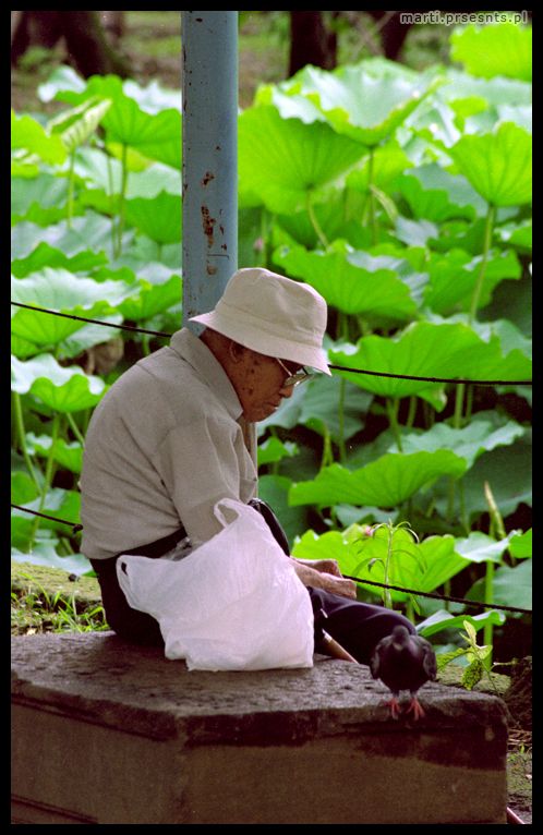 Fotoreportaż Japonia 2006: japan034