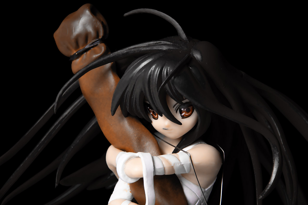 Konkurs figurkowy: shana_1