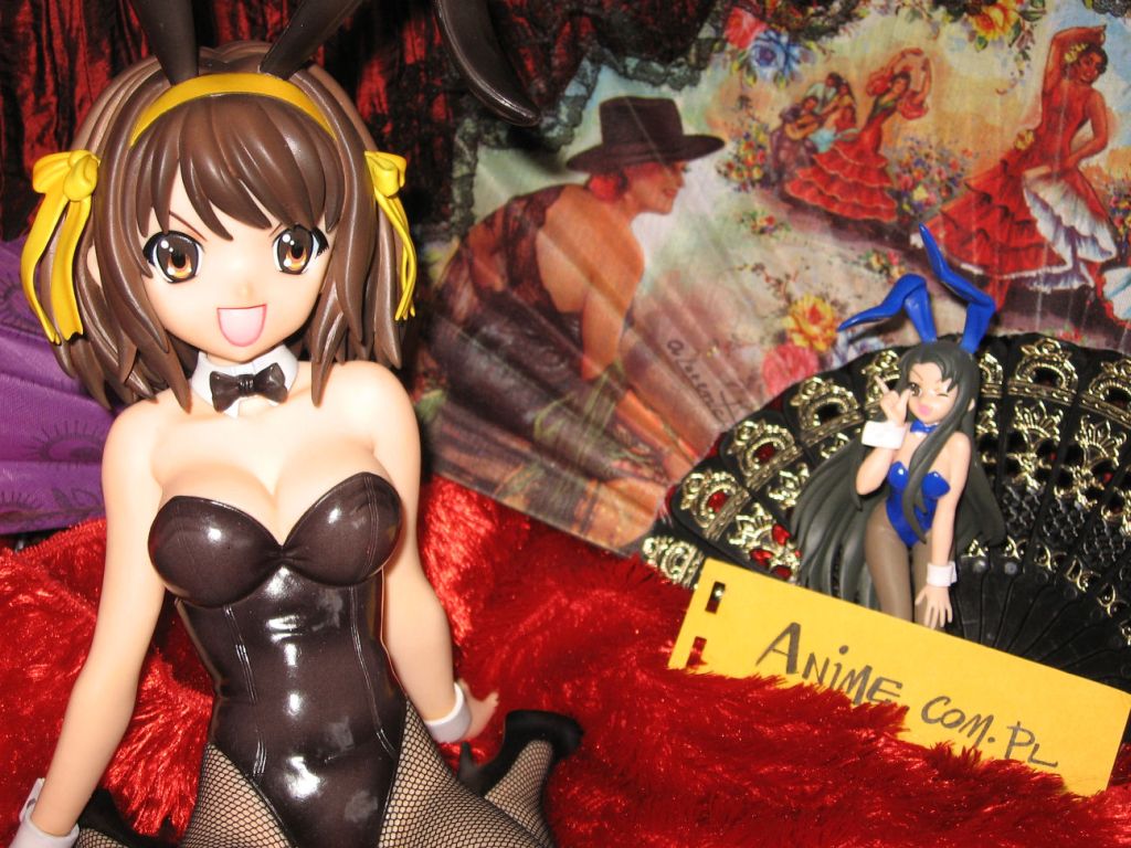 Konkurs figurkowy: suzumiya_1