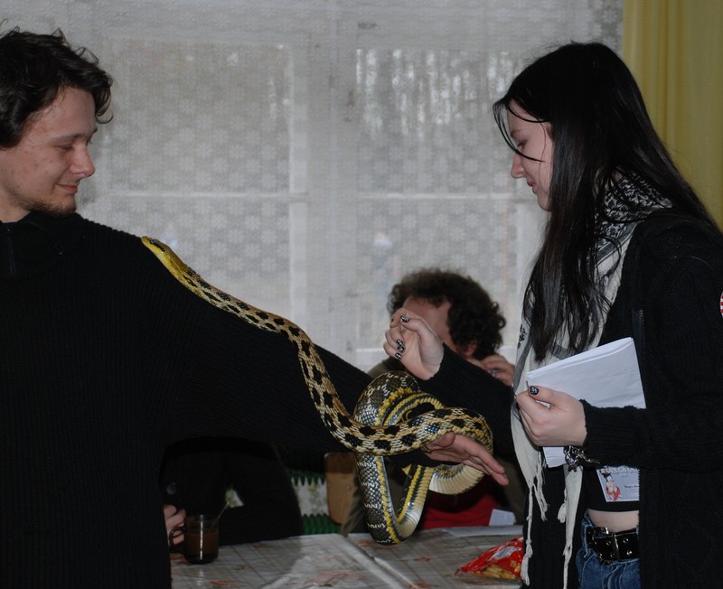 Mangamania 2008: mangamania_2008-32