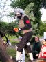 IMG_8800