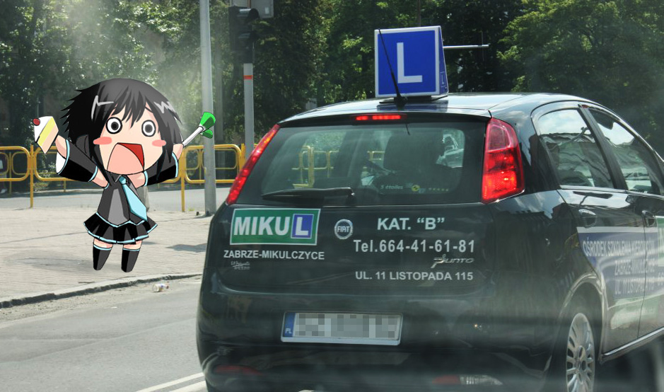 Dzień Kwitnącej Wiśni 2009 (Bahamut, Edek, Yen): Najazd mangowców na Bytom coś za sobą zostawił...
