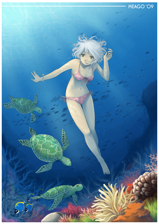 Meago 6: Sea wonders