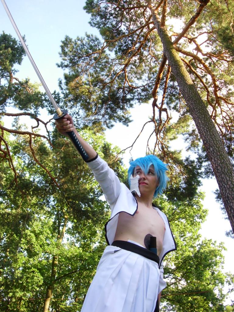 Animatsuri 2 – cosplay (Gargu): DSCN2547