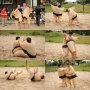 PierniCON 5 (grigor) - Sumo fight