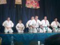 Karate kyokushin (preview)