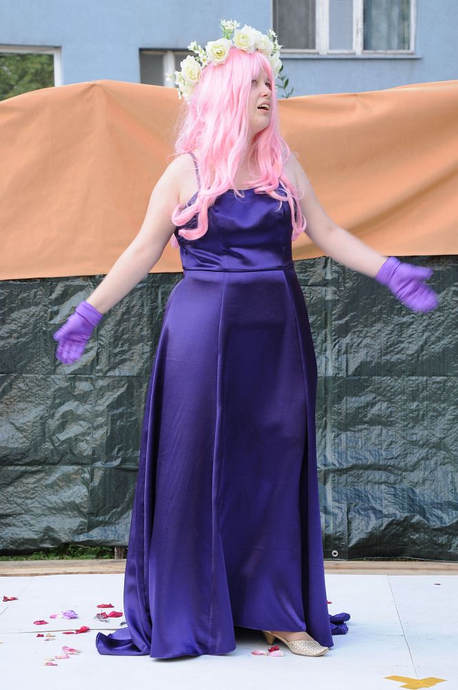 NiuCon 2 (grigor): Cosplay