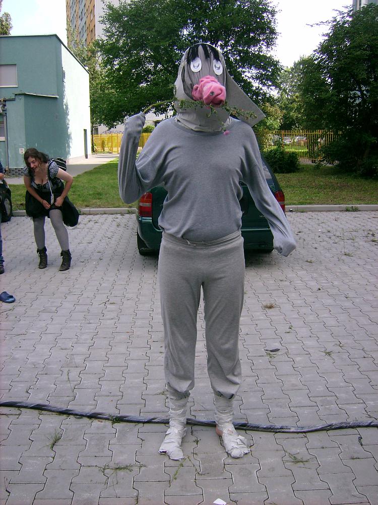 NiuCon 2 - cosplay (Solhy; YumeNi): 033 (YumeNi)