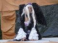 NiuCon 2 - cosplay (Solhy; YumeNi) - 036 (Solhy)