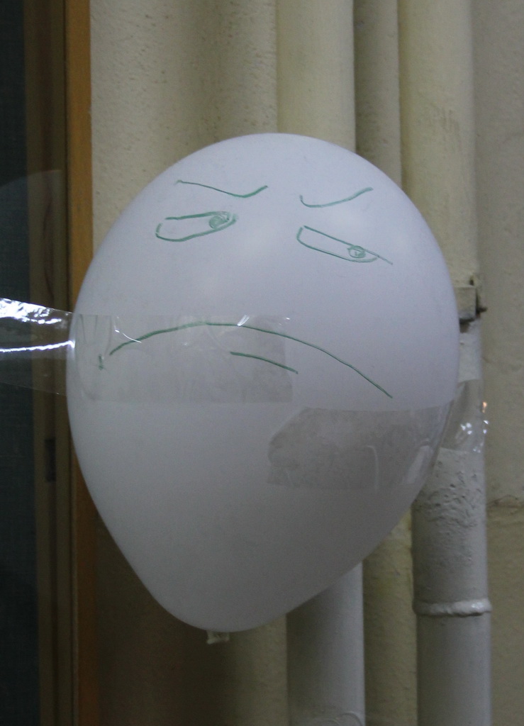 Niucon 3 (moston): Are you fucking baloon me ?