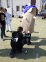Wanekon (Lurker_pas) - _3137534