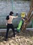 Wanekon (Lurker_pas) - _3137545