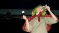 DSC03228