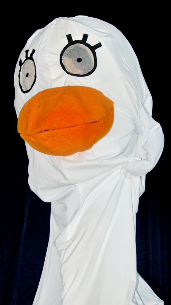Animatsuri 2011 – cosplay (Gargu): DSC07909