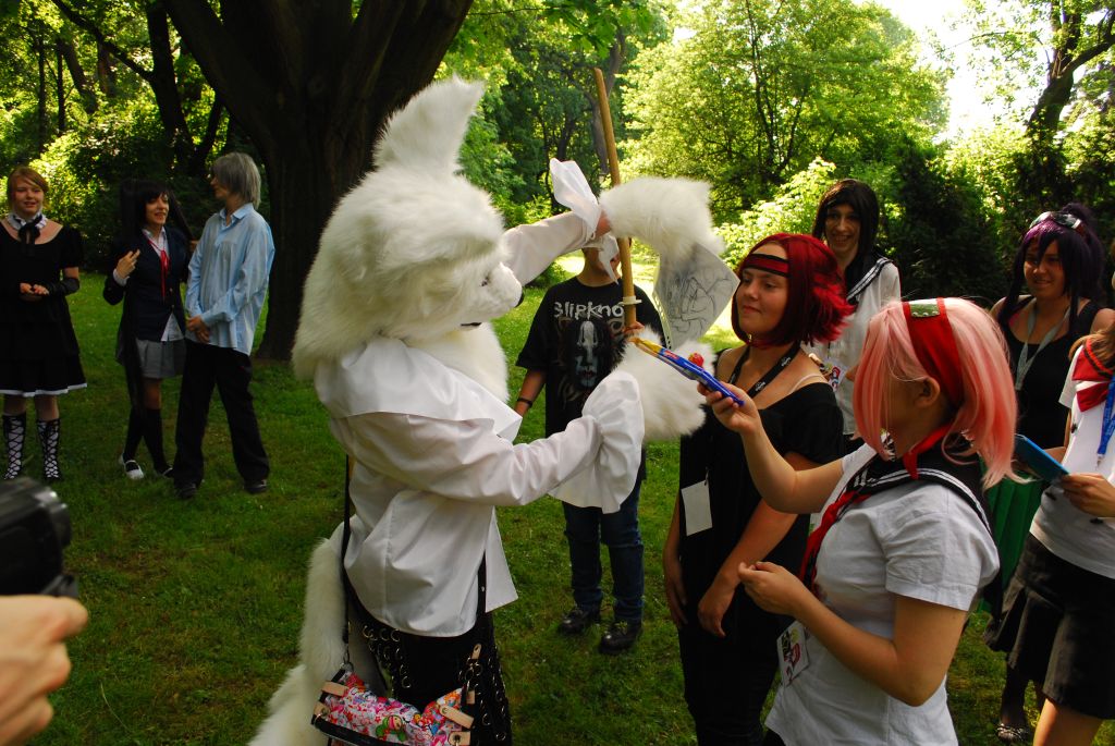 Warszawski Cosplay Walk (Tokyo): DSC_9330