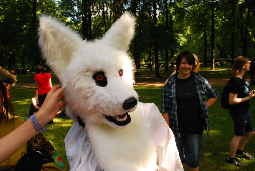 Warszawski Cosplay Walk (Tokyo): DSC_9450