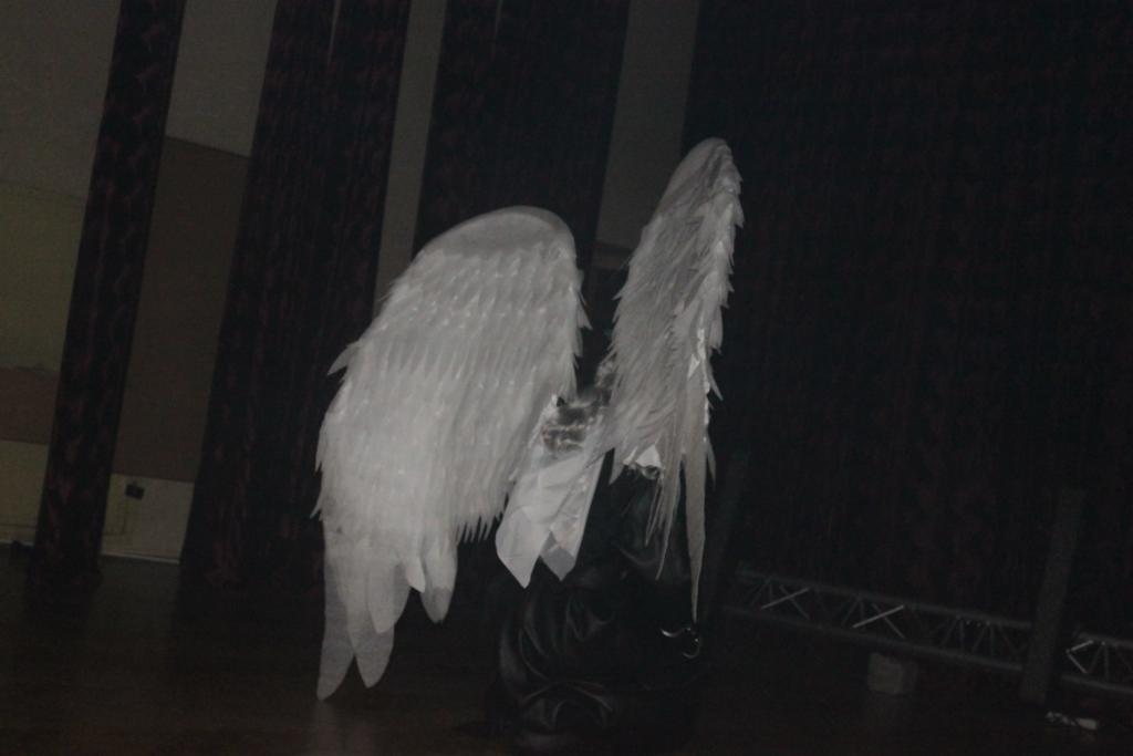 Balcon 2012: Jubileusz - cosplay (DraqDras): 025