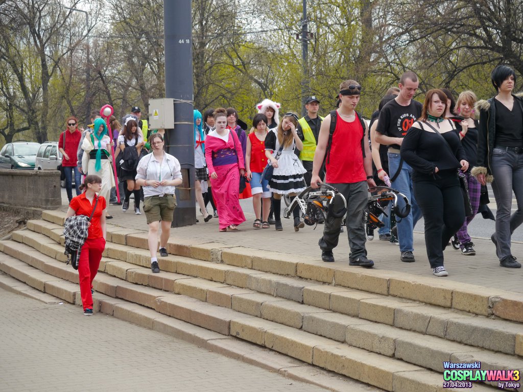 Warszawski Cosplay Walk 2013 (Tokyo): P1050189_lr