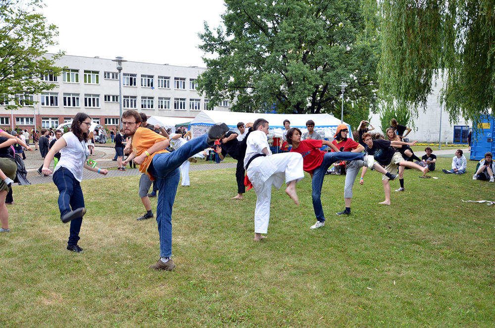 Animatsuri 2013 – atrakcje (Lurker_pas): DSC_6546
