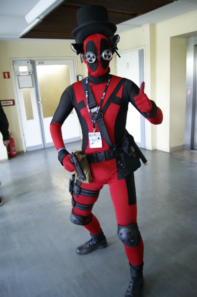 Krakon 2013 (Foxy): DSC7979