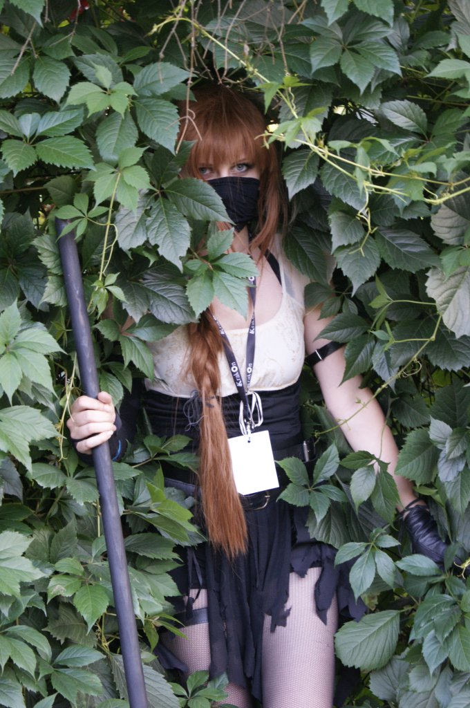 Krakon 2013 (Foxy): DSC8134